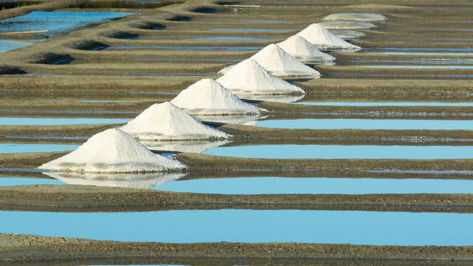 Marais salants île de Ré - tas de sel blancs sur les bassins de cristallisation
