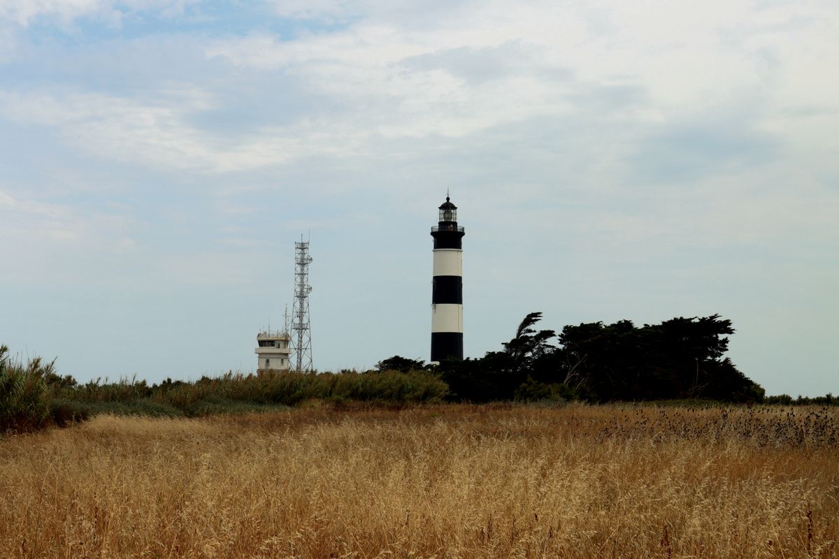 Le phare des Baleines sur l'île de Ré en automne